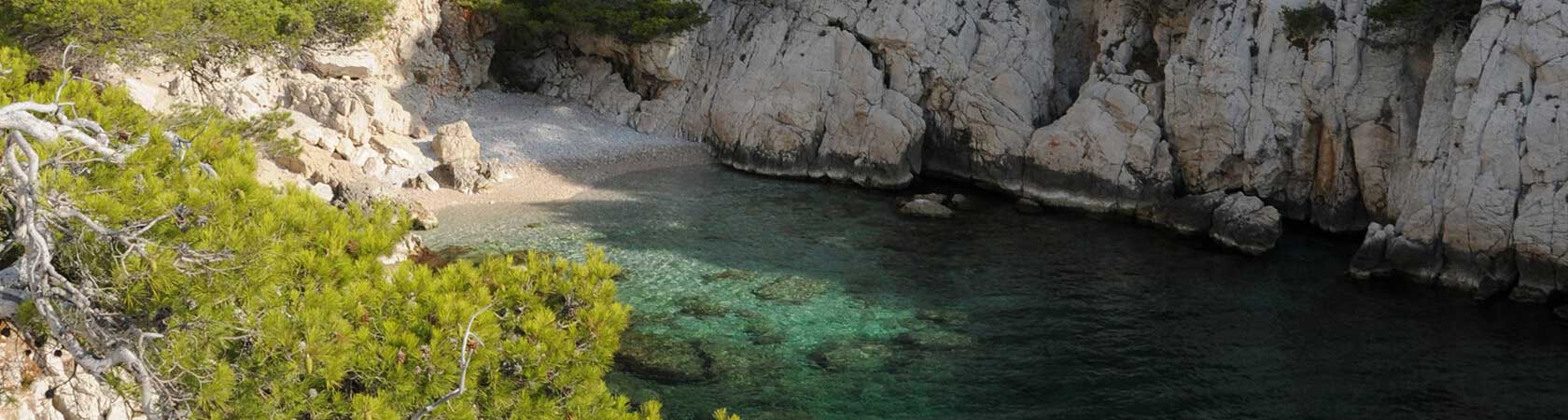 Visite des calanques