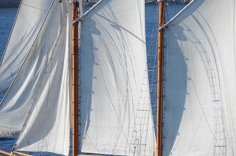 Les voiles de la Goélette Alliance