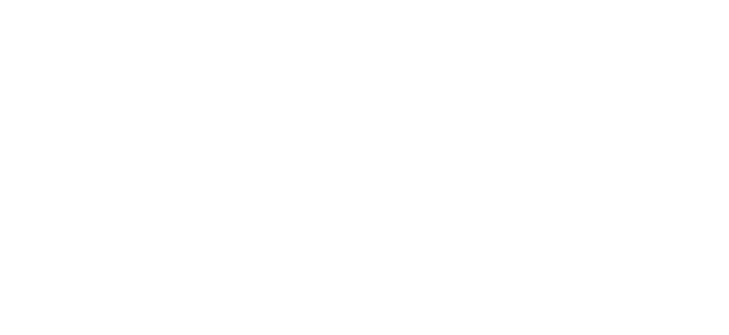 Bruine Beer